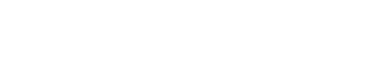 LeadingVox